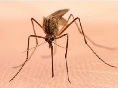 里水杀虫公司驱蚊防蚊子的小技巧