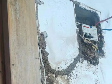 和顺白蚁预防中心为什么居住的房屋里会有白蚁