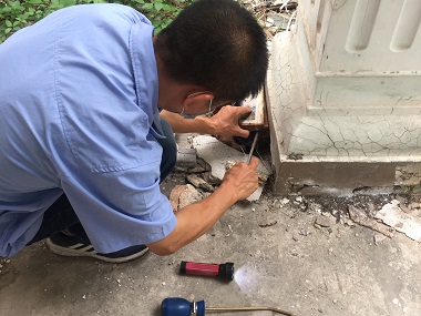 南海白蚁备案机构白蚁灭治为什么要检查反复消杀