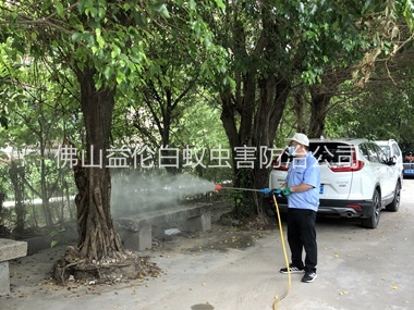 西樵社区四害消杀工程